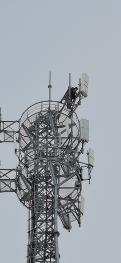 大雪時節(jié)，電信服務(wù)溫暖如約——記信息咨詢服務(wù)的堅守與溫度